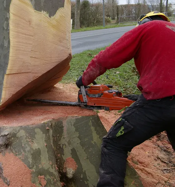 La palette de savoir-faire de Techni-Vert est très diversifiée et permet d’intervenir dans un grand nombre de situations.